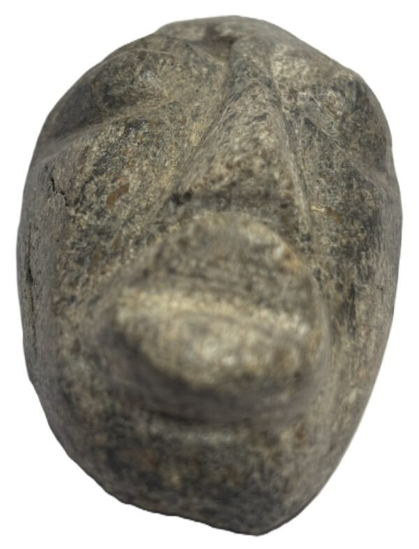Mastodon bone face e4 sians emporium Mastodon bone face e4
