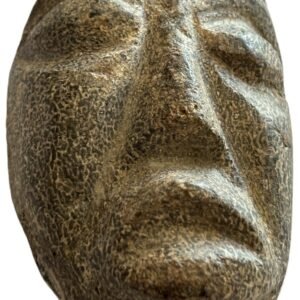 mastodon face d.1
