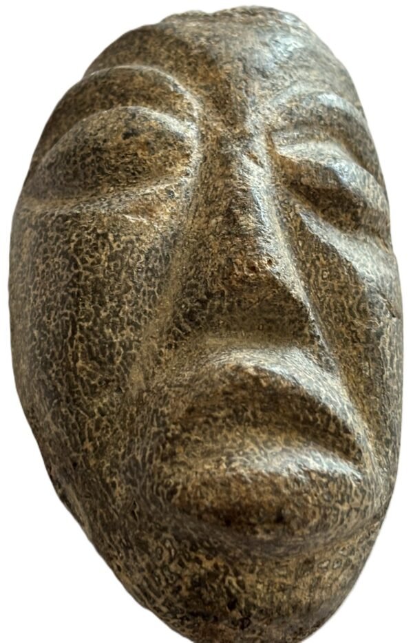 Mastodon face d 1 sians emporium Mastodon face d 1