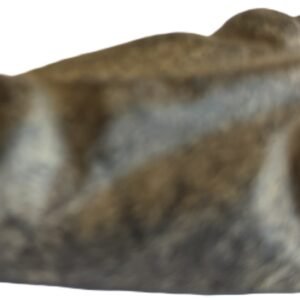 Mastodon face a 2