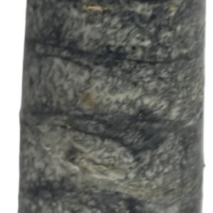 Orthoceras tail 7.1