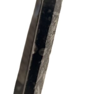 Orthoceras sheild 12 sians emporium Orthoceras sheikd