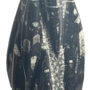 Orthoceras statue 23