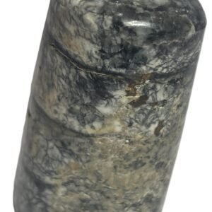 Orthoceras tail 4 3
