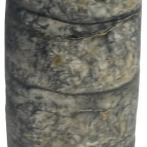 Orthoceras tail 4 4