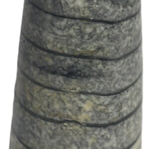 Orthoceras tail 5.4