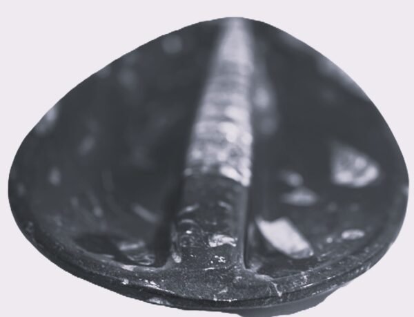 Orthoceras trinket 2 3 sians emporium Orthoceras trinket 2 3