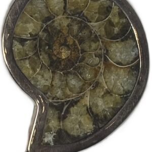Amoniite fossil pendant a.3