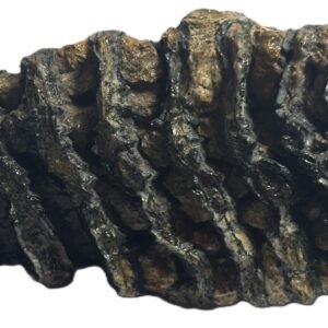 Baby mammoth 12