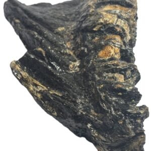 Baby mammoth 14