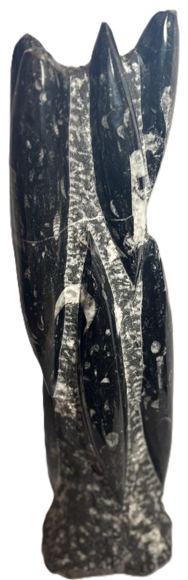 Orthoceras statue 45 sians emporium Orthoceras statue 45