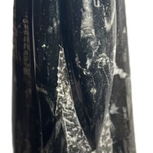 Orthoceras statue 52