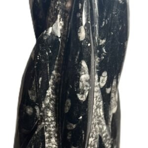 Orthoceras statue 61