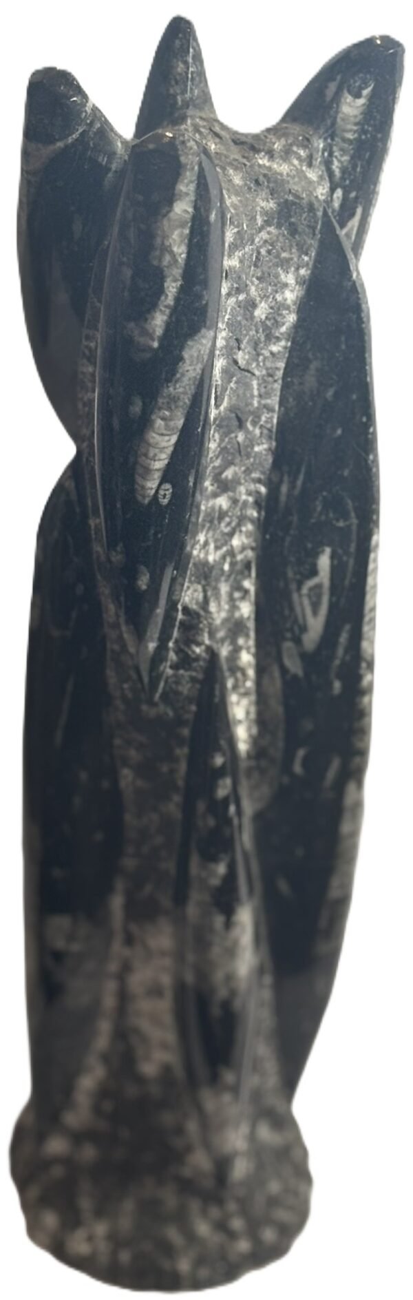 Orthoceras statue c 2 sians emporium Orthoceras statue c 2