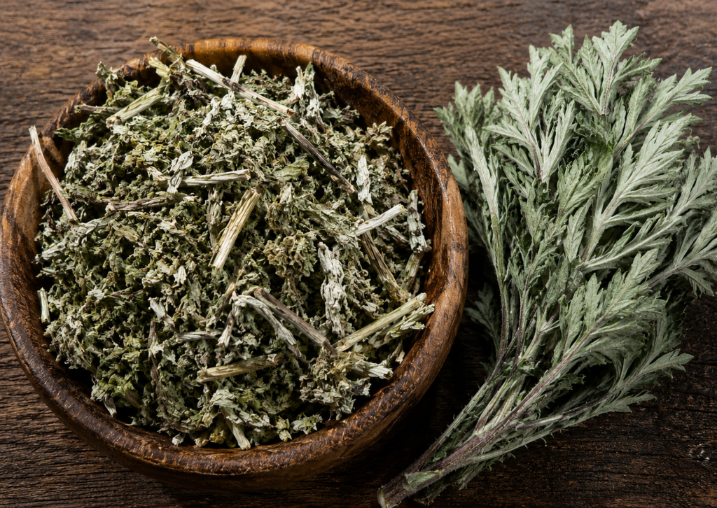 Bowl of dried plucked mugwort and mugwort leaves